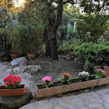2 Pieces Zen Dans En Pleine Nature Appartement *